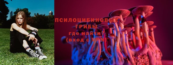 a pvp Алексин