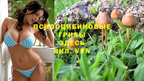 mix Абаза