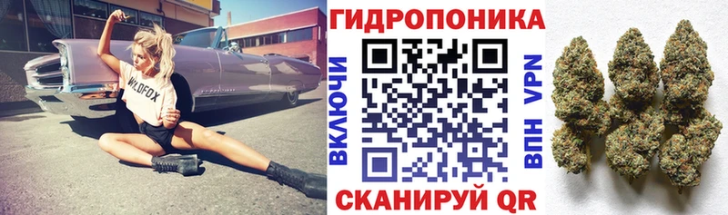 Каннабис MAZAR Вилюйск